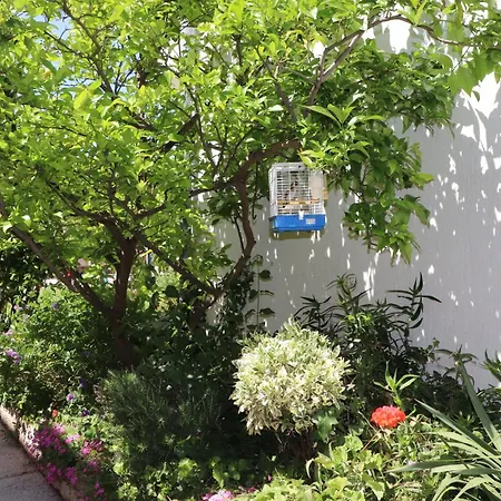 Apartament Andjela With Terrace, Garden And Sea View