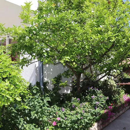 Andjela With Terrace, Garden And Sea View